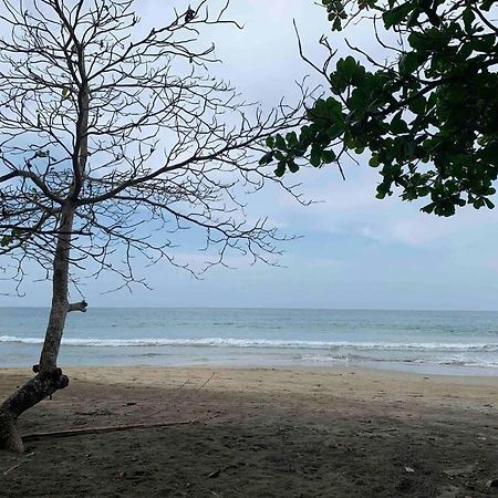 Beautiful Loft Near The Beach Apartment Manzanillo  Ngoại thất bức ảnh