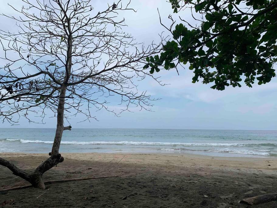 Beautiful Loft Near The Beach Apartment Manzanillo  Ngoại thất bức ảnh